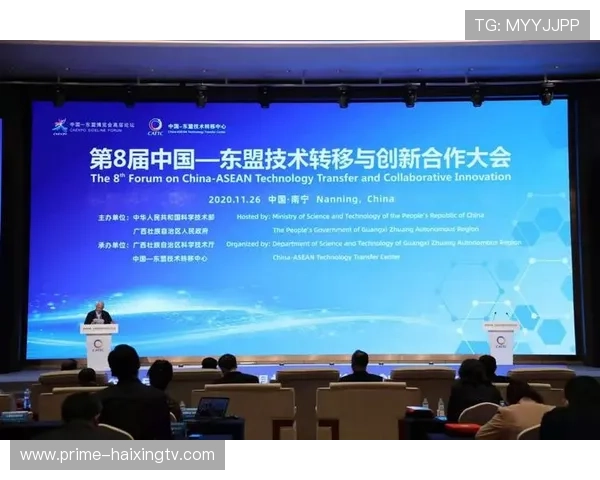 湘乡湘铝足球球星崛起 解析他们的成长历程与未来潜力 湘乡湘铝足球球星崛起 解析他们的成长历程与未来潜力